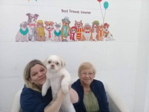 CLIENTES MALU LHASA APSO DONA LAURA E LIDIANE PET SHOP BANHO E TOSA