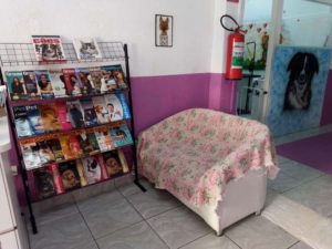 RECEPÇÃO PET SHOP